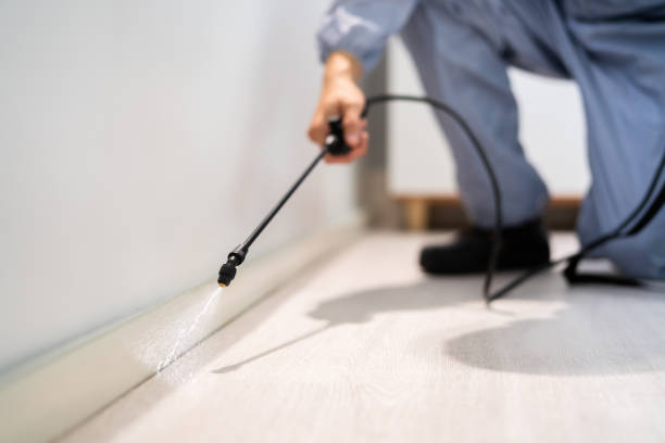 Rodent Entry Point Assessment in Sea Girt