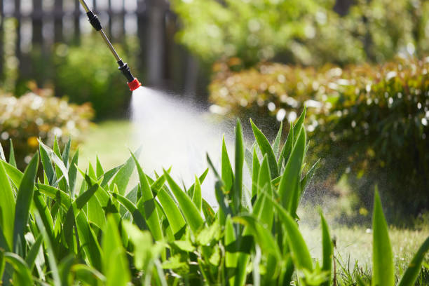 Tamper-Resistant Bait Stations for Rodents in Sea Girt