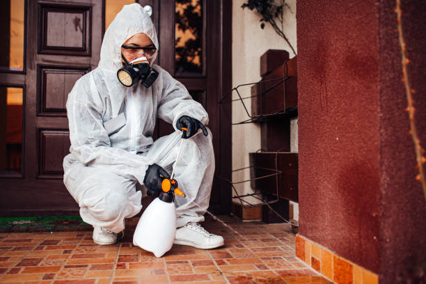 Attic and Crawl Space Rodent Treatment in Sea Girt