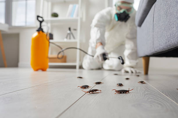 Commercial Rodent Management in Sea Girt